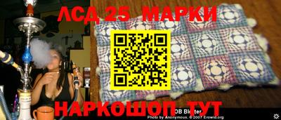 шишки Кимры